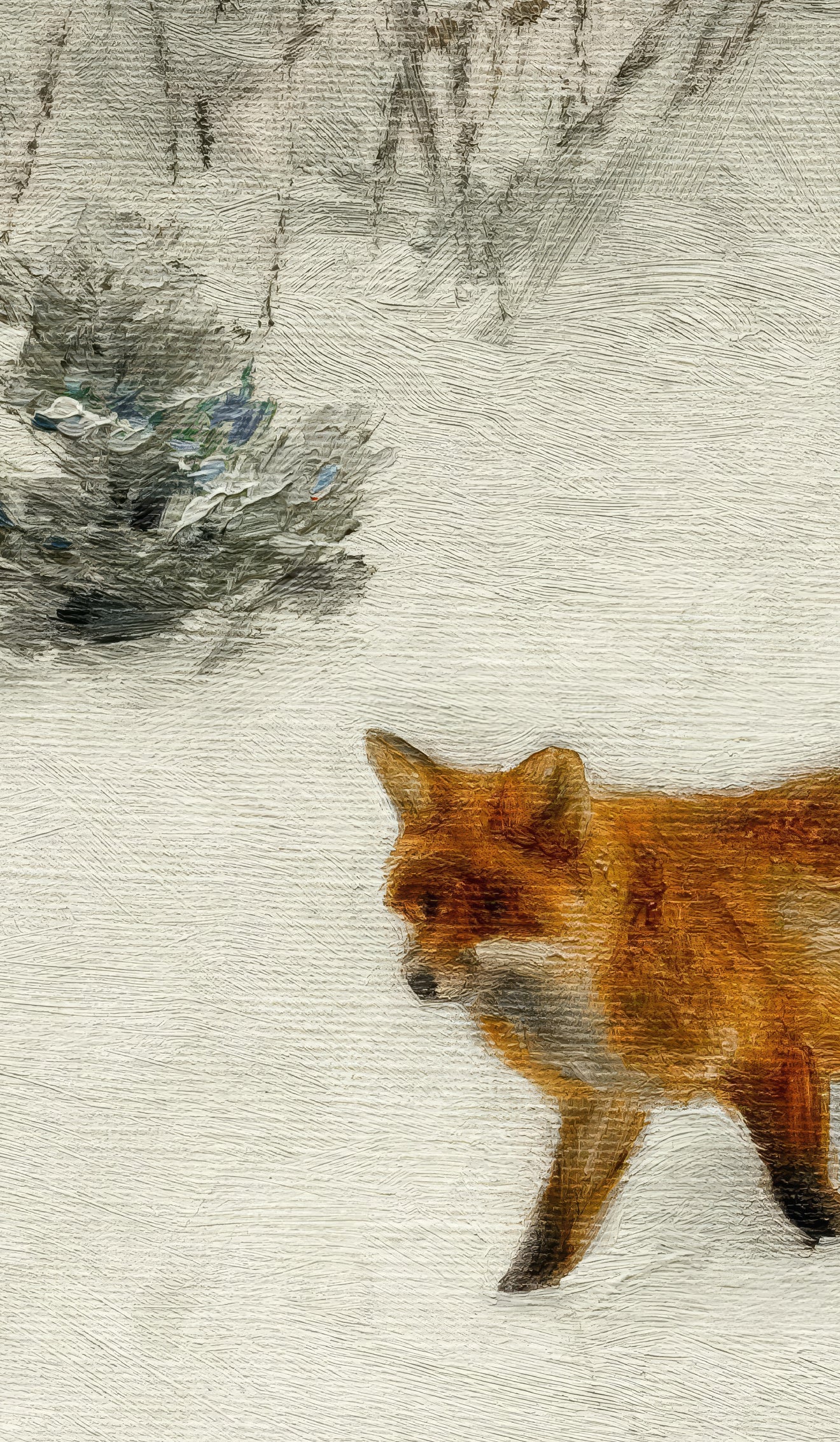 Fox in the Snow