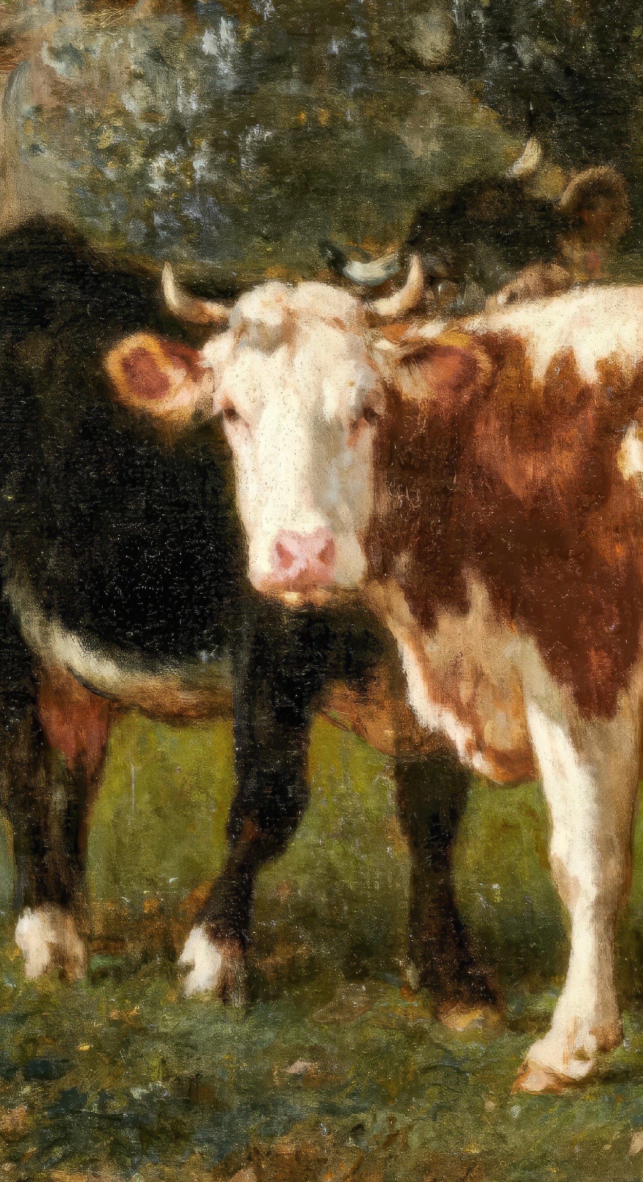 Cattle by the Mill