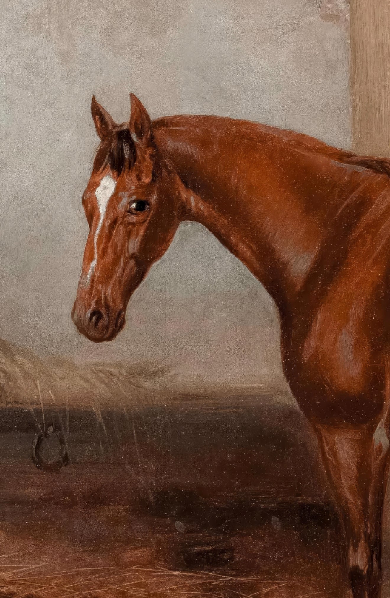 Horse in a Stable