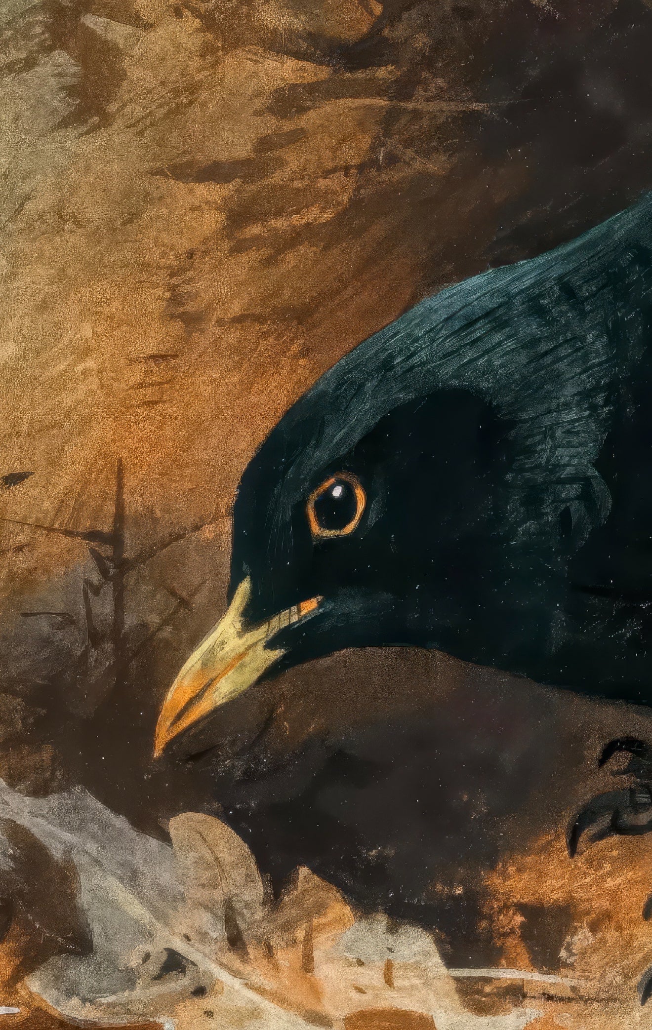 Blackbird