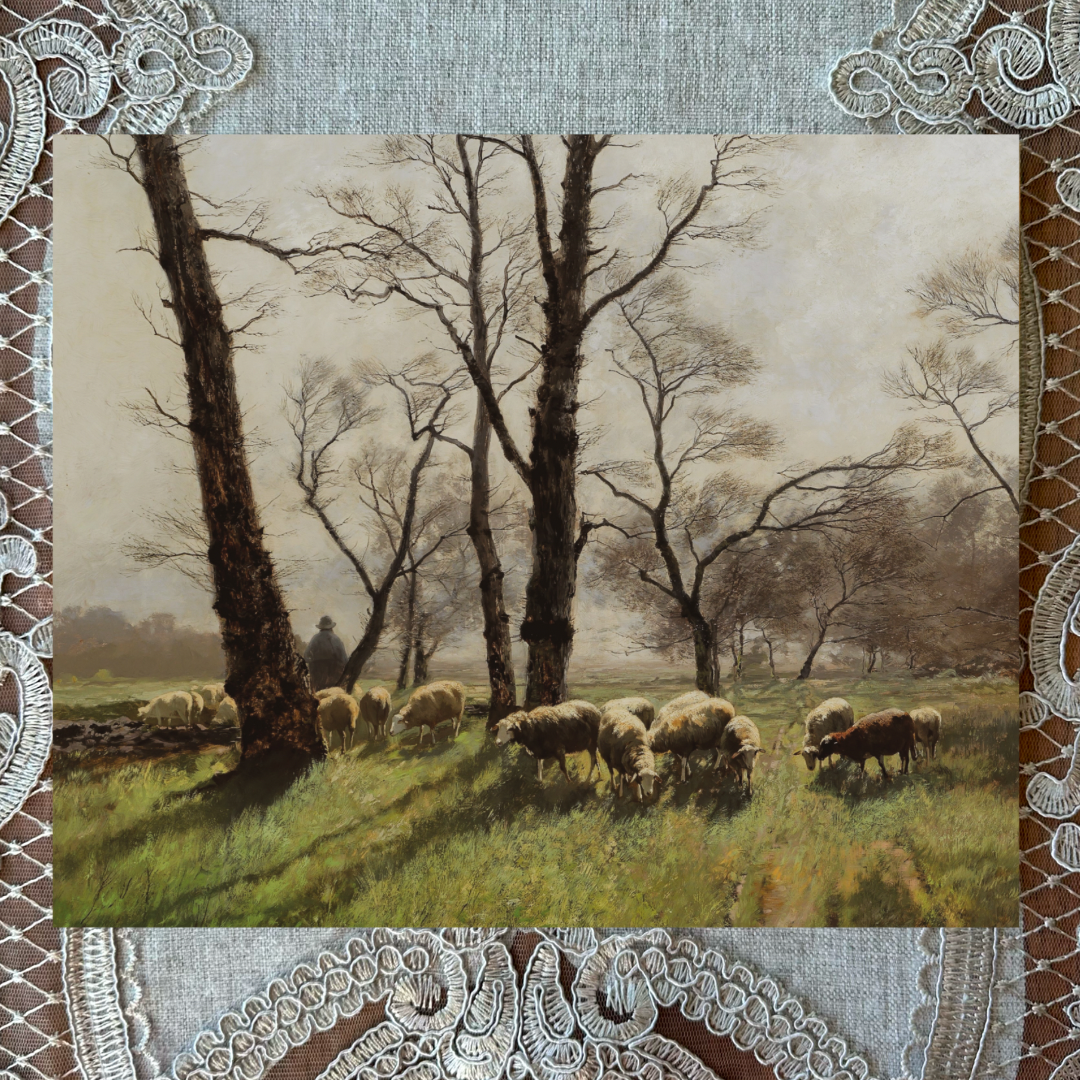 Shepherd