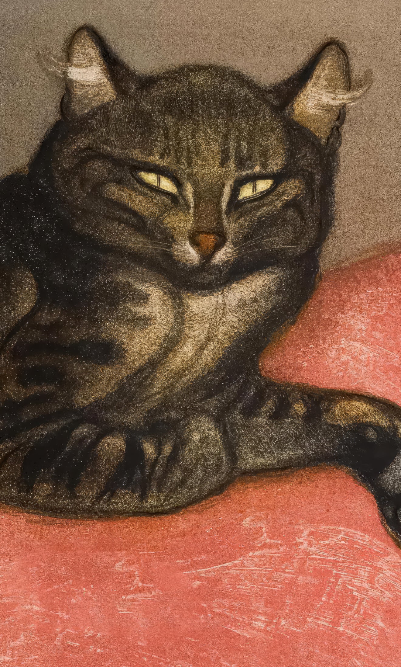 Cat on a Cushion