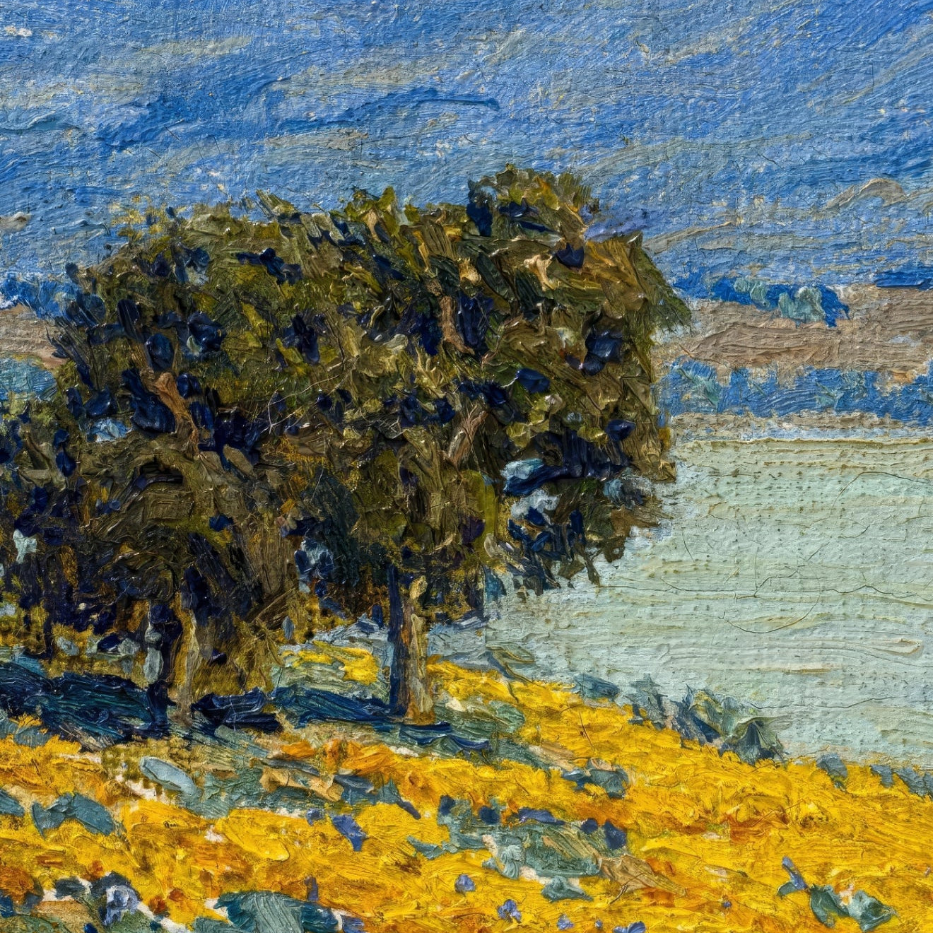 California Landscape