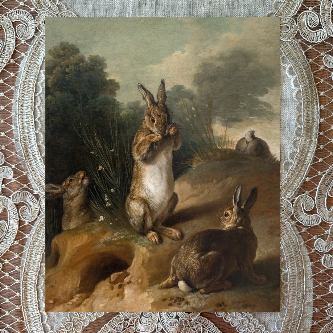 Rabbits
