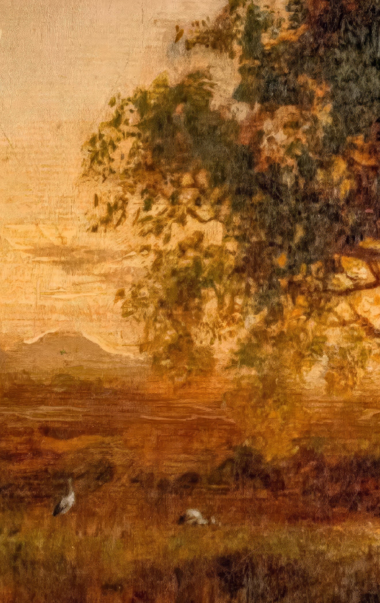 Early Evening Landscape