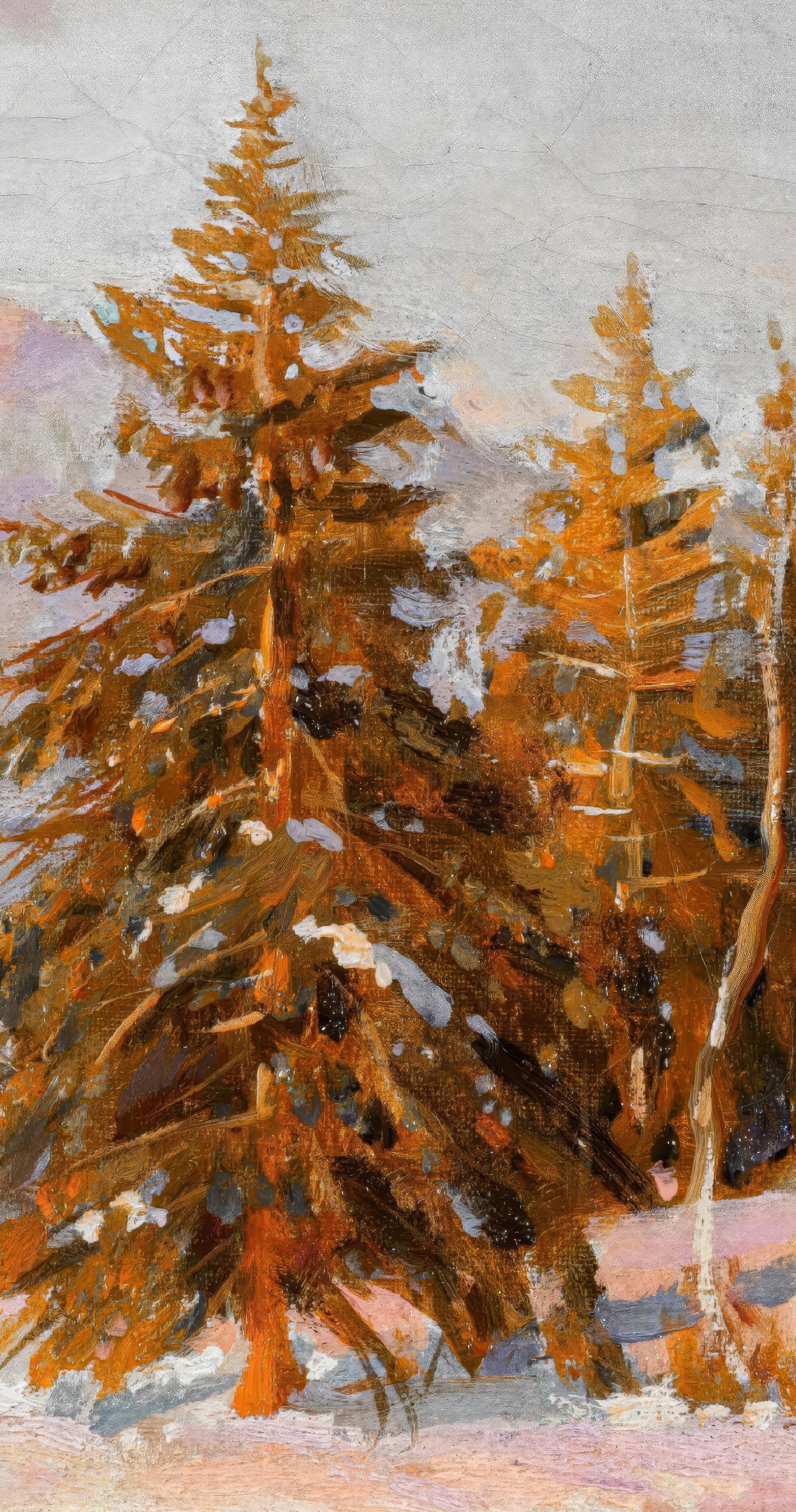 Winter Sunset