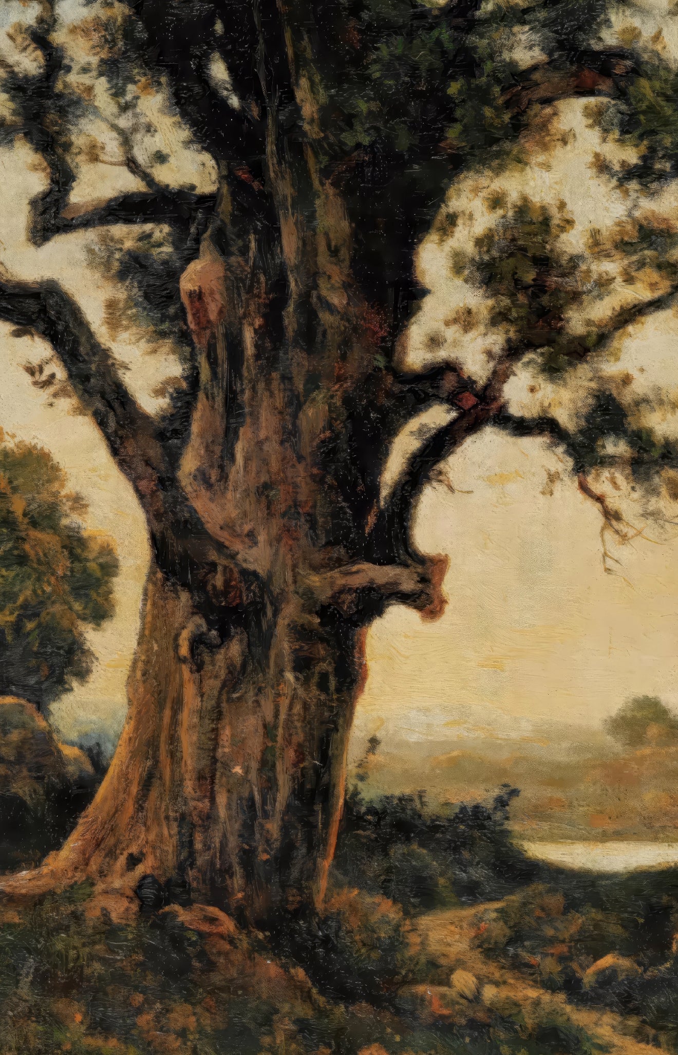 Old Oak