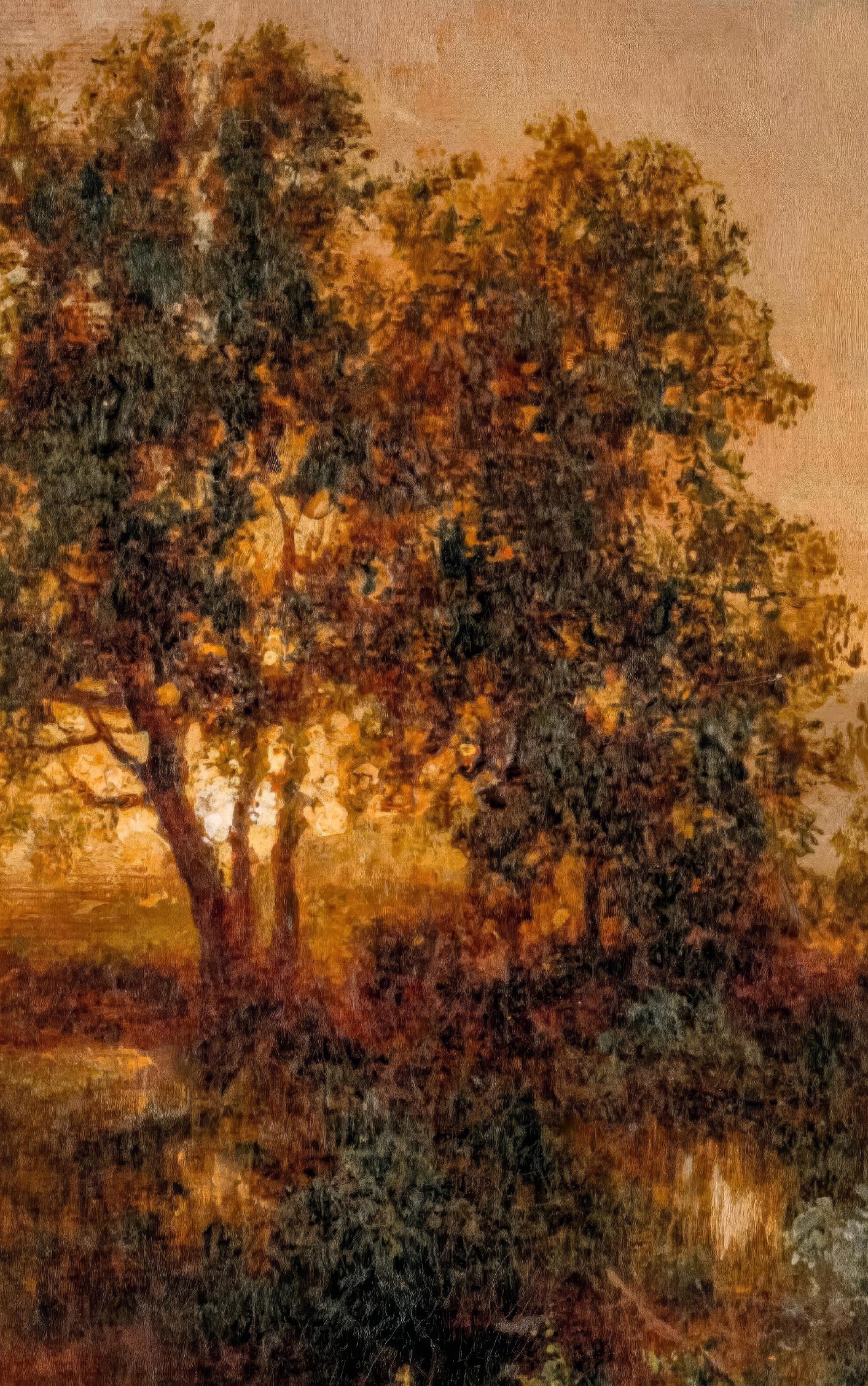 Early Evening Landscape