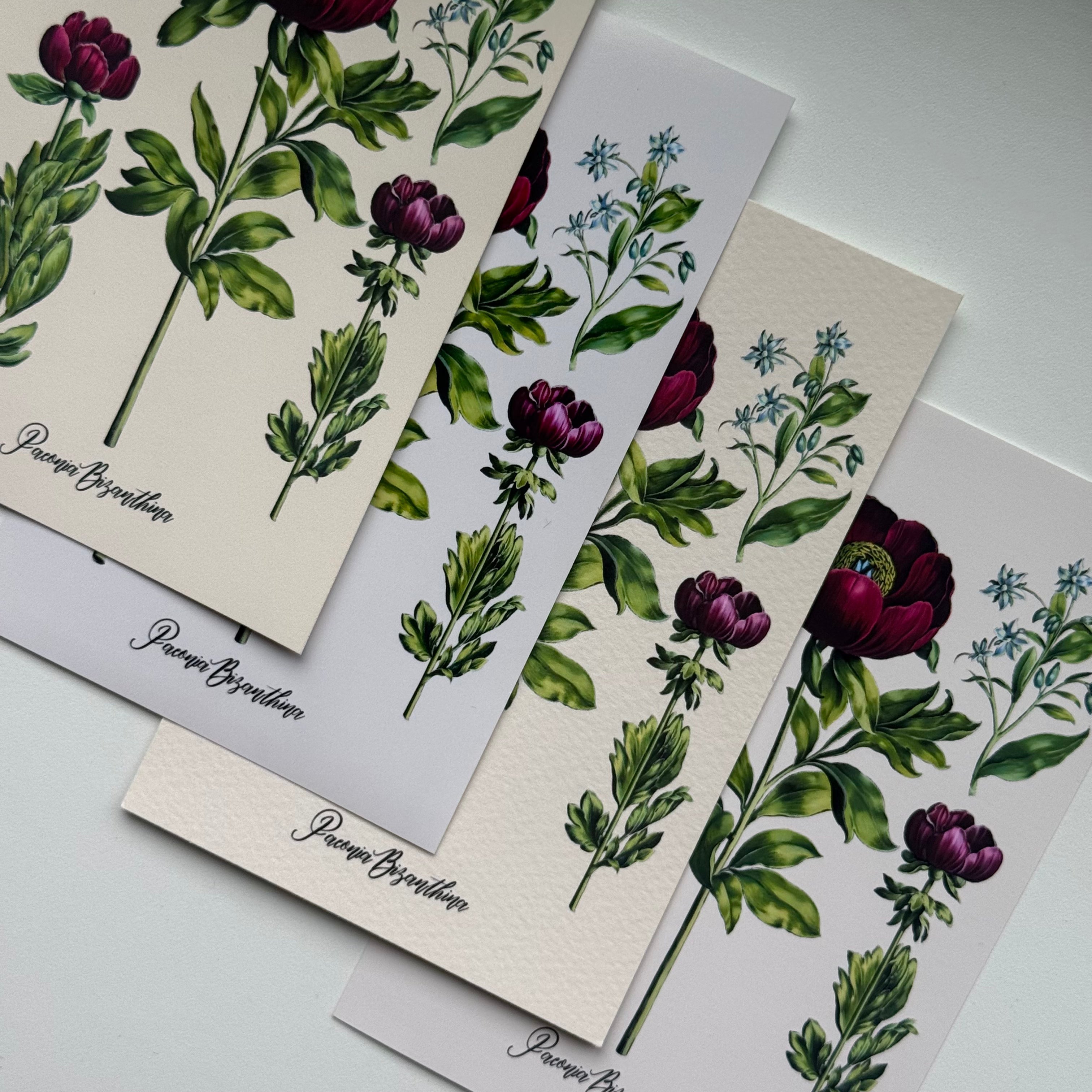 Why I Use Cold Press Paper For Vintage Prints