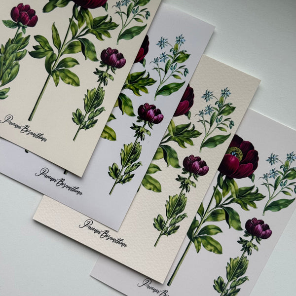 Why I Use Cold Press Paper For Vintage Prints