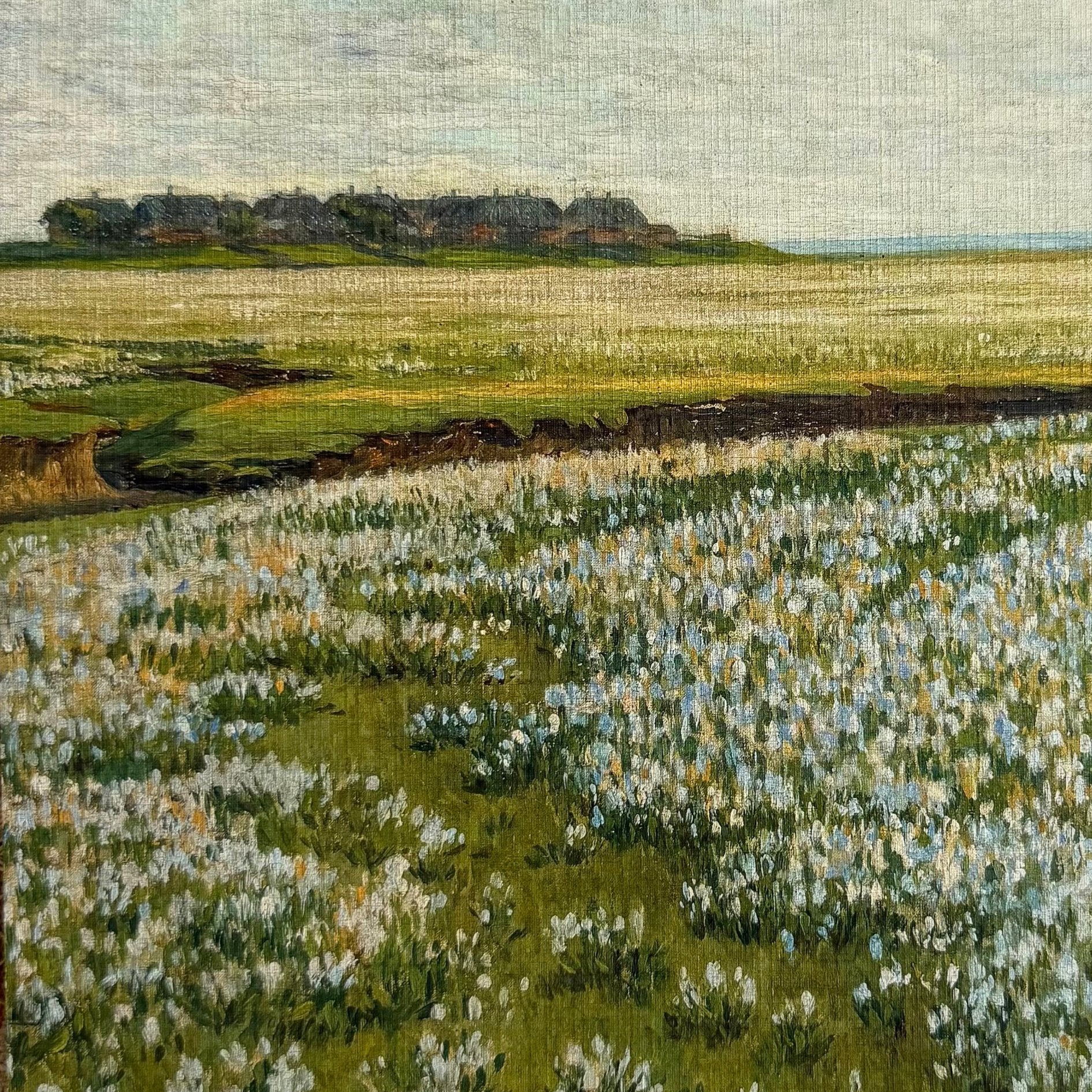 Landscapes