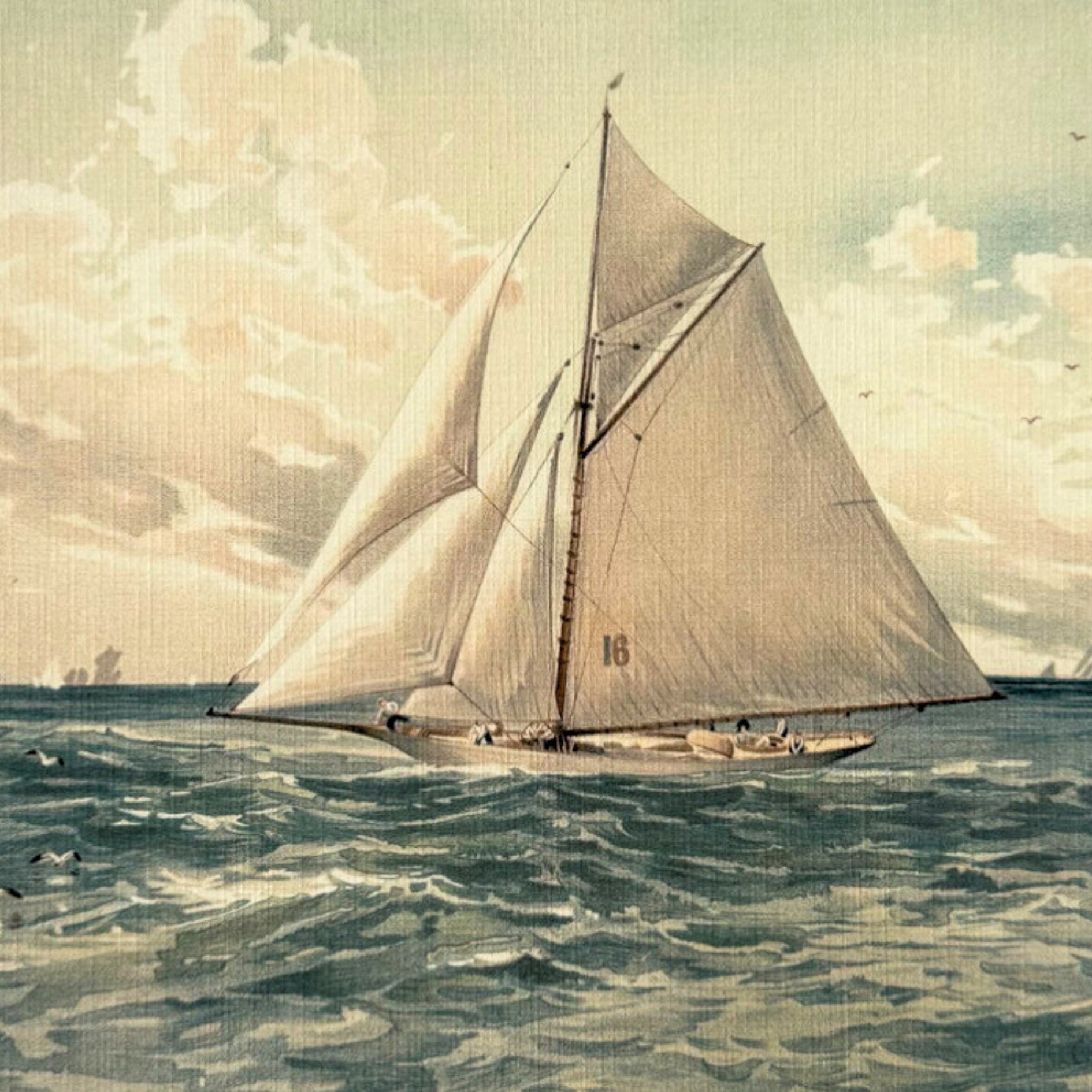 Seascapes