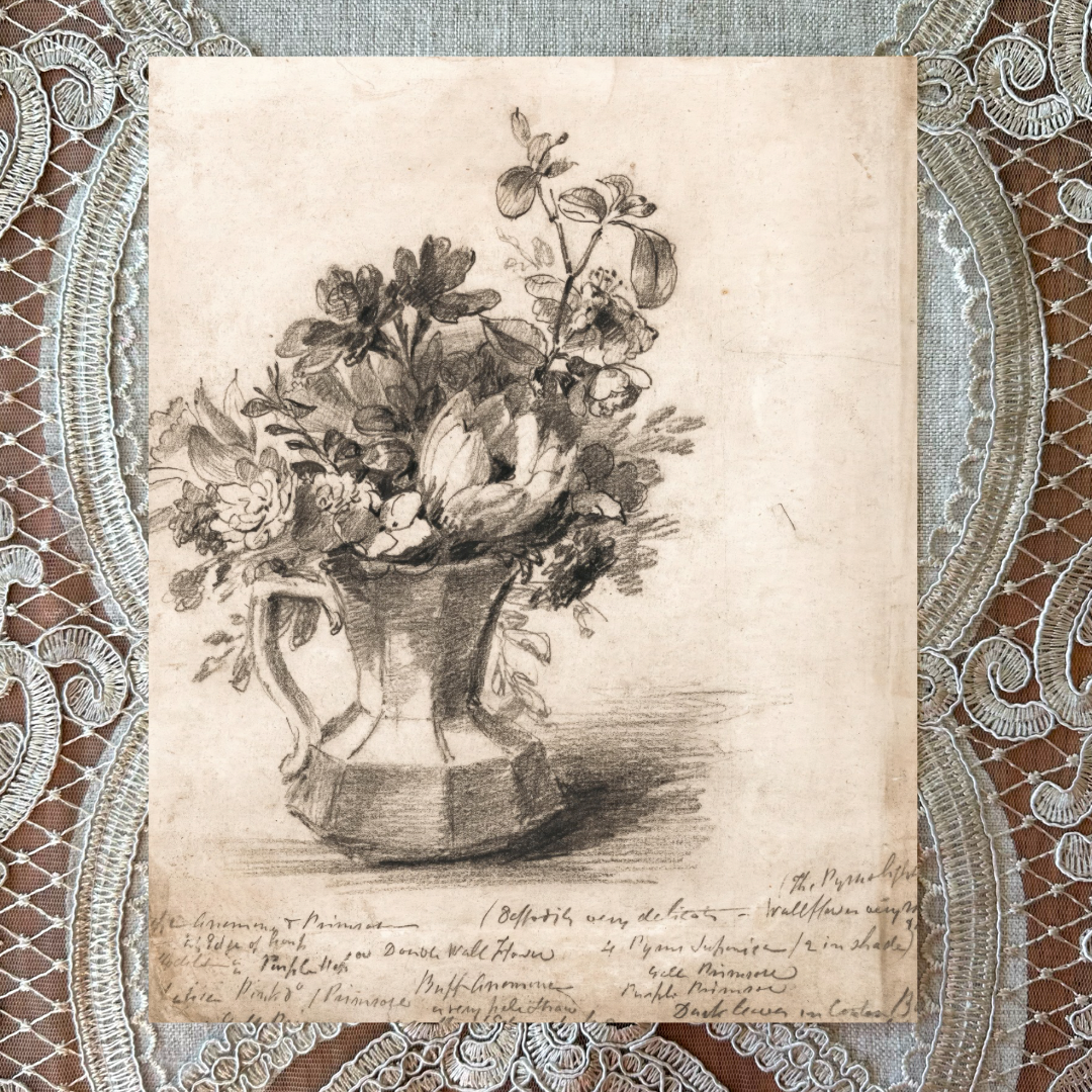 Flowers in Pitcher Sketch