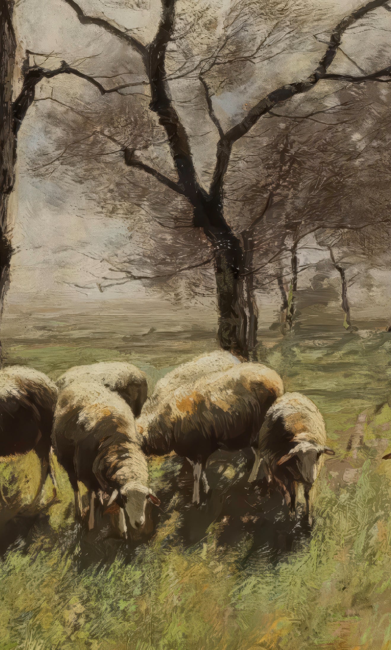 Shepherd