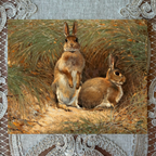 Rabbits in a Grassy Field