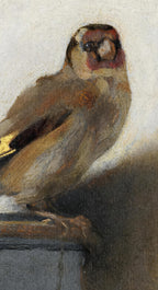 Close-up of a bird perched on a branch with a neutral background