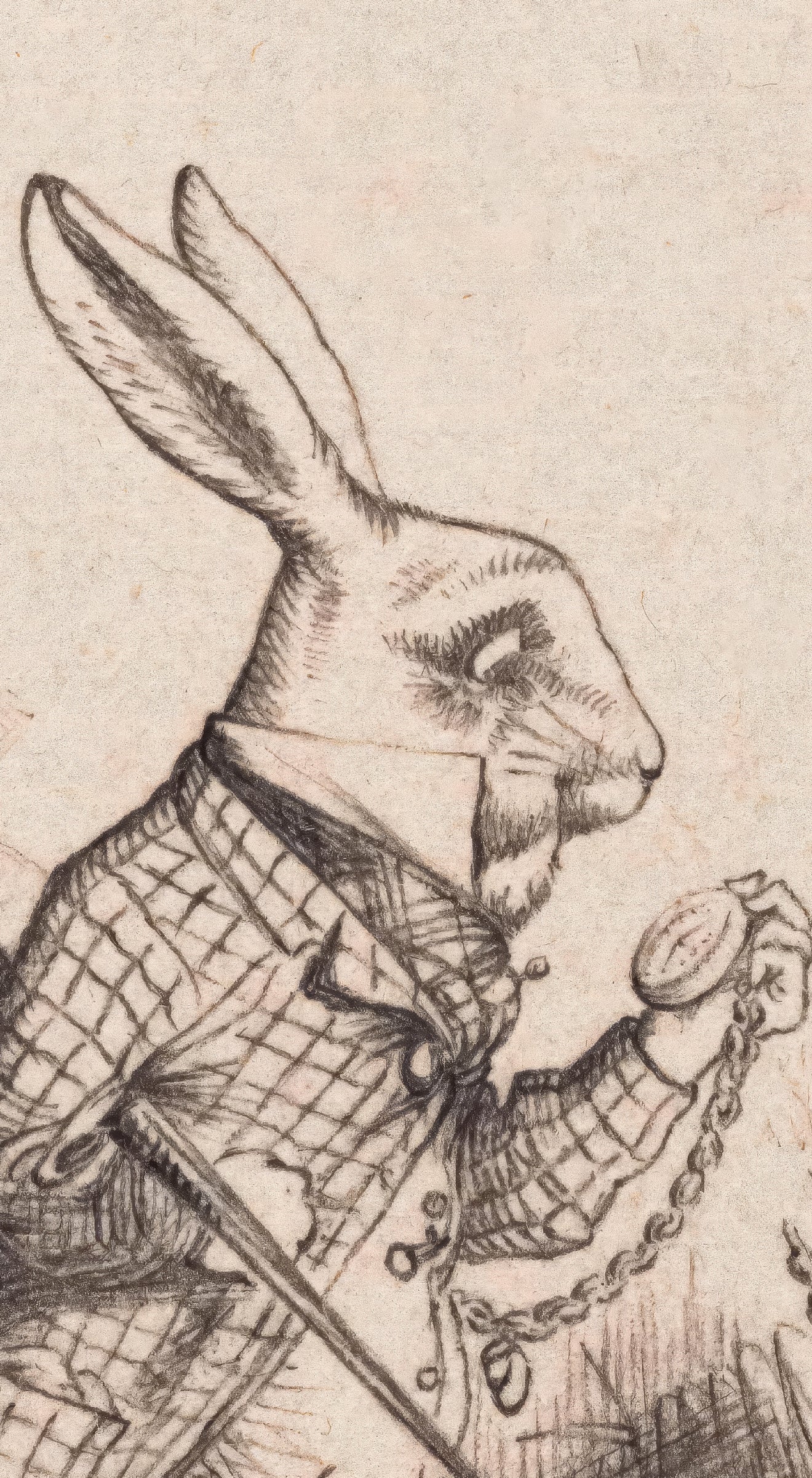 Rabbit with a Pocketwatch