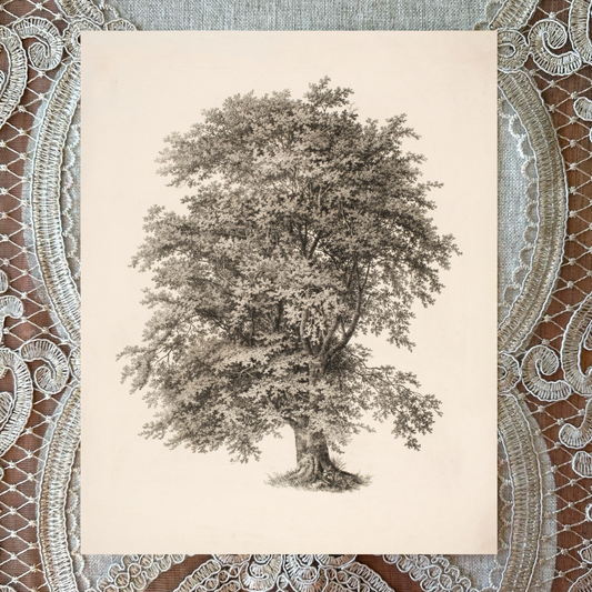 Large Tree