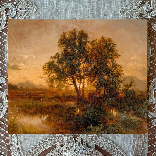 Early Evening Landscape