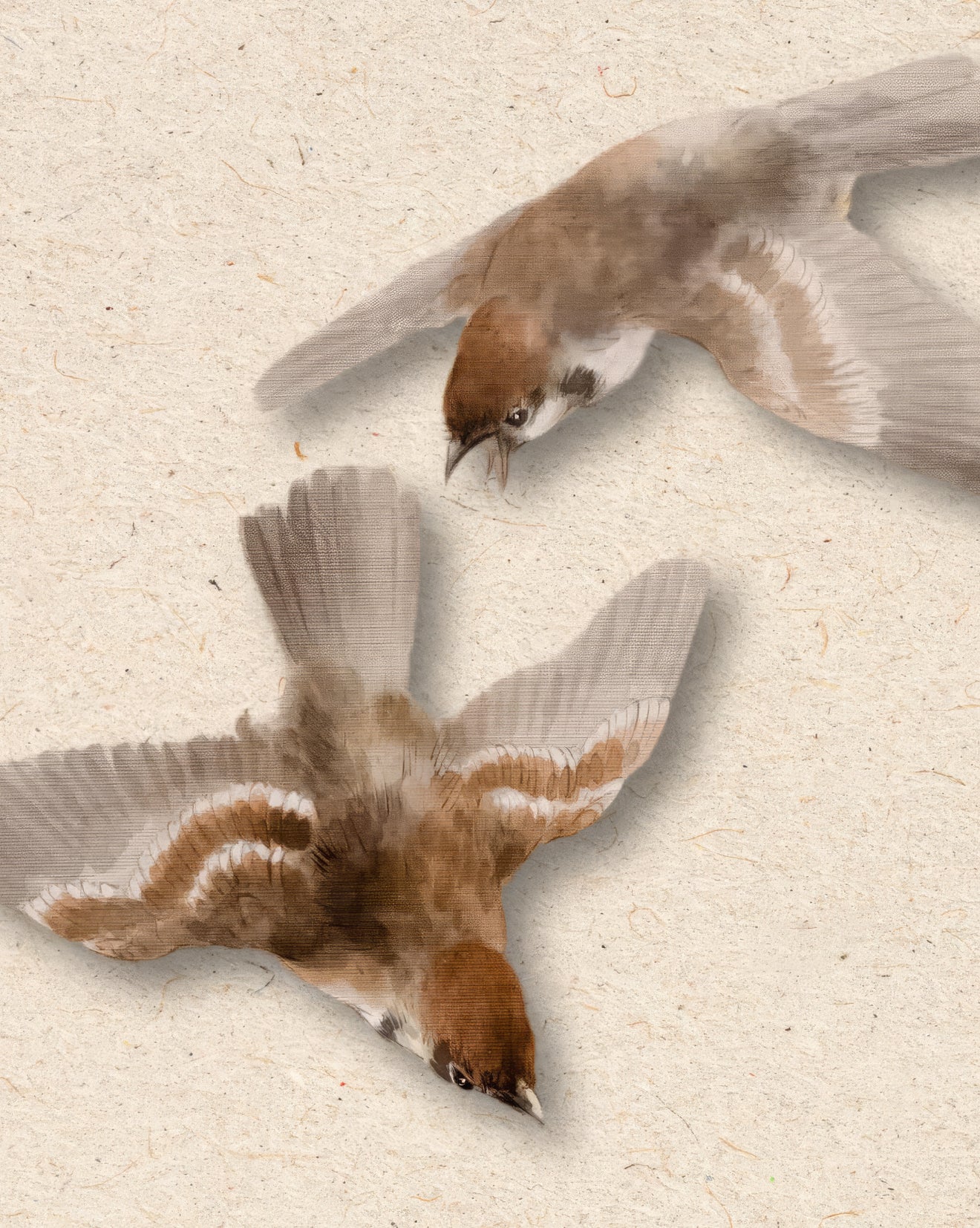 Sparrows Flying