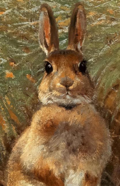 Rabbits in a Grassy Field