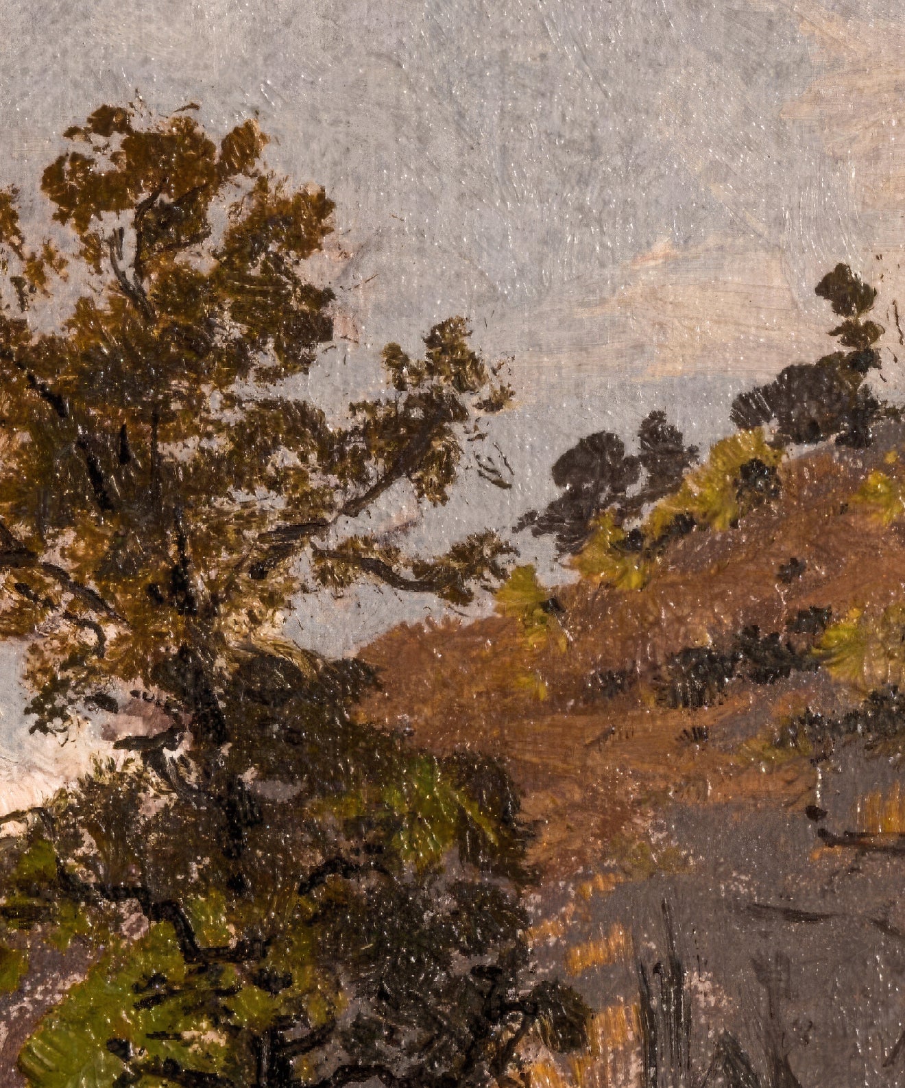 Wooded Hillside