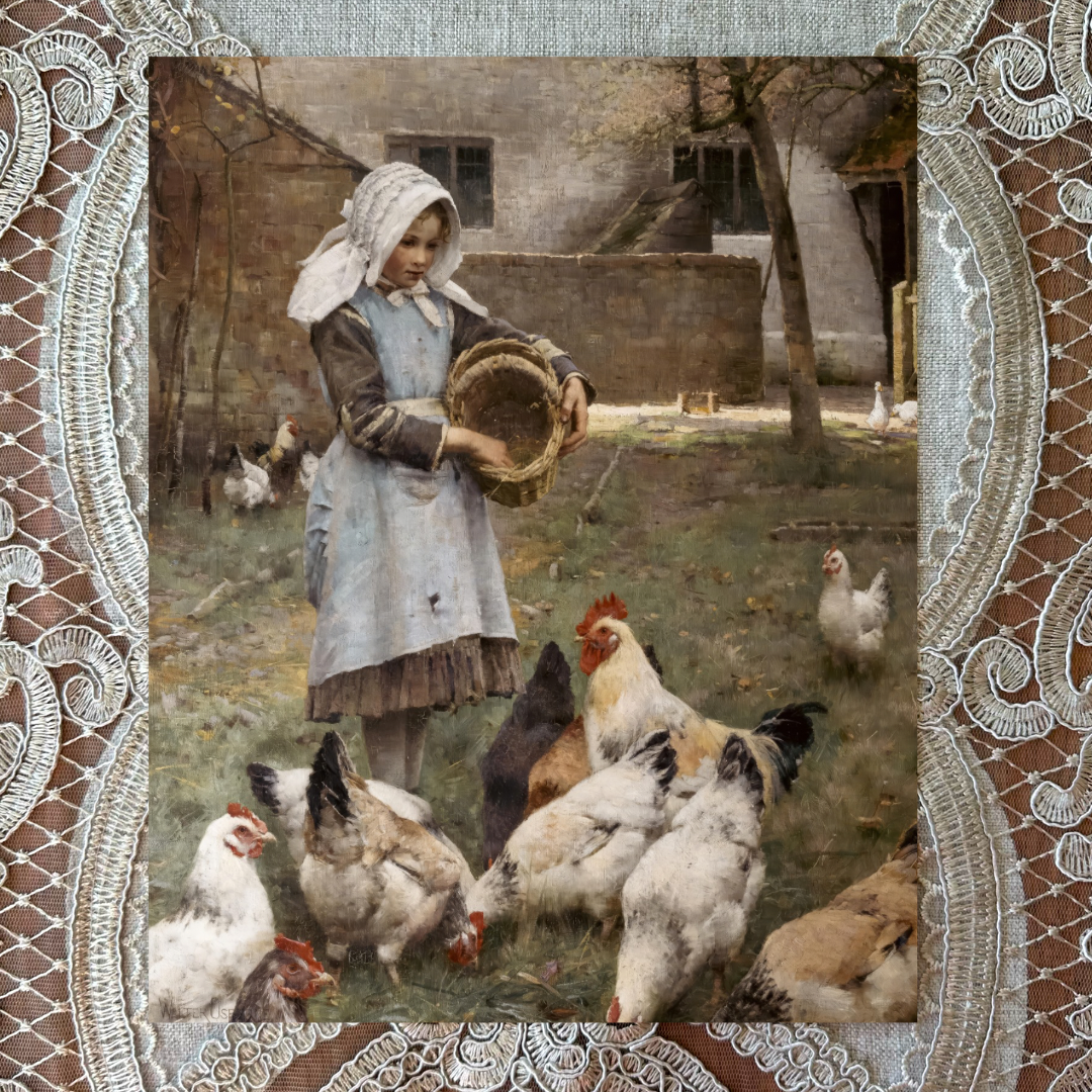 Feeding the Chickens