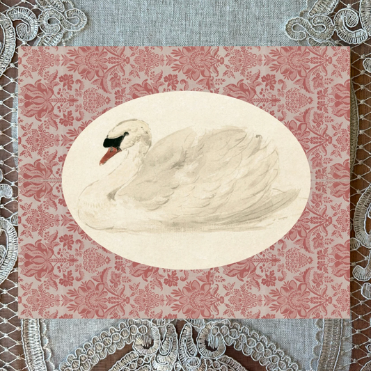Mute Swan w/Florals