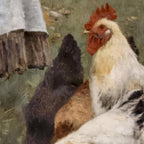 Group of chickens in a natural setting with a person in the background