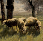 Shepherd