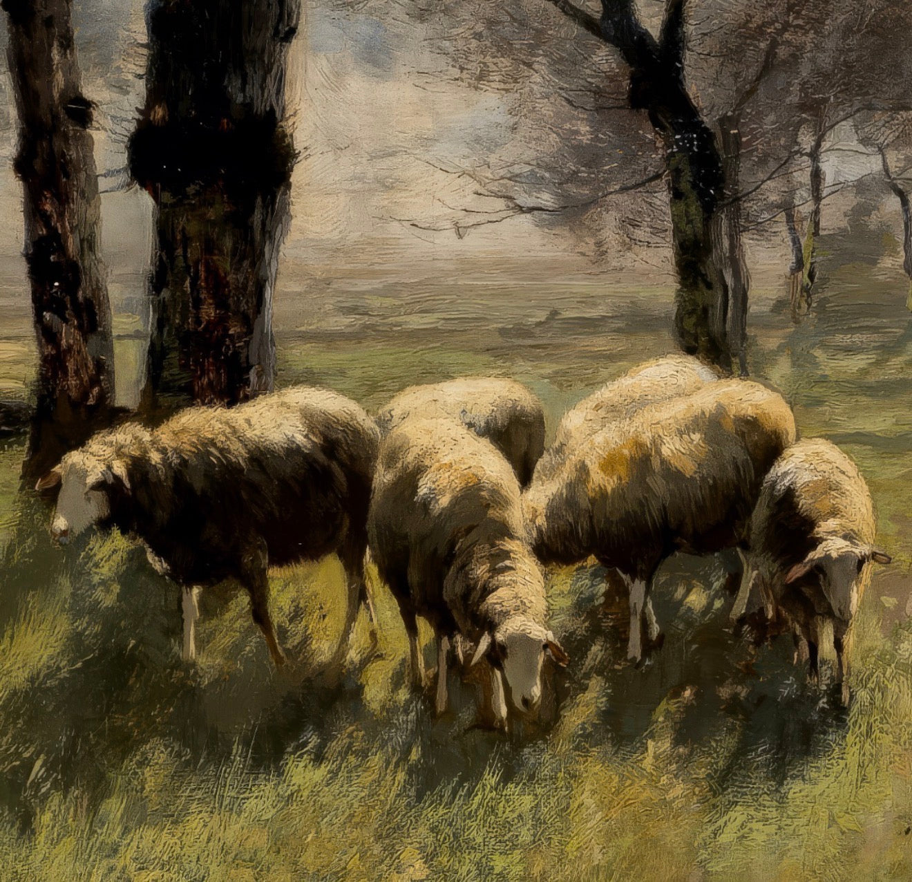 Shepherd