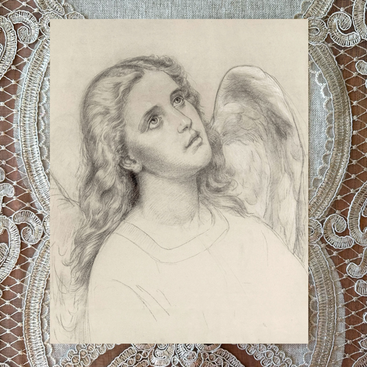 Young Angel Sketch