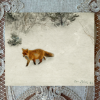 Fox in the Snow