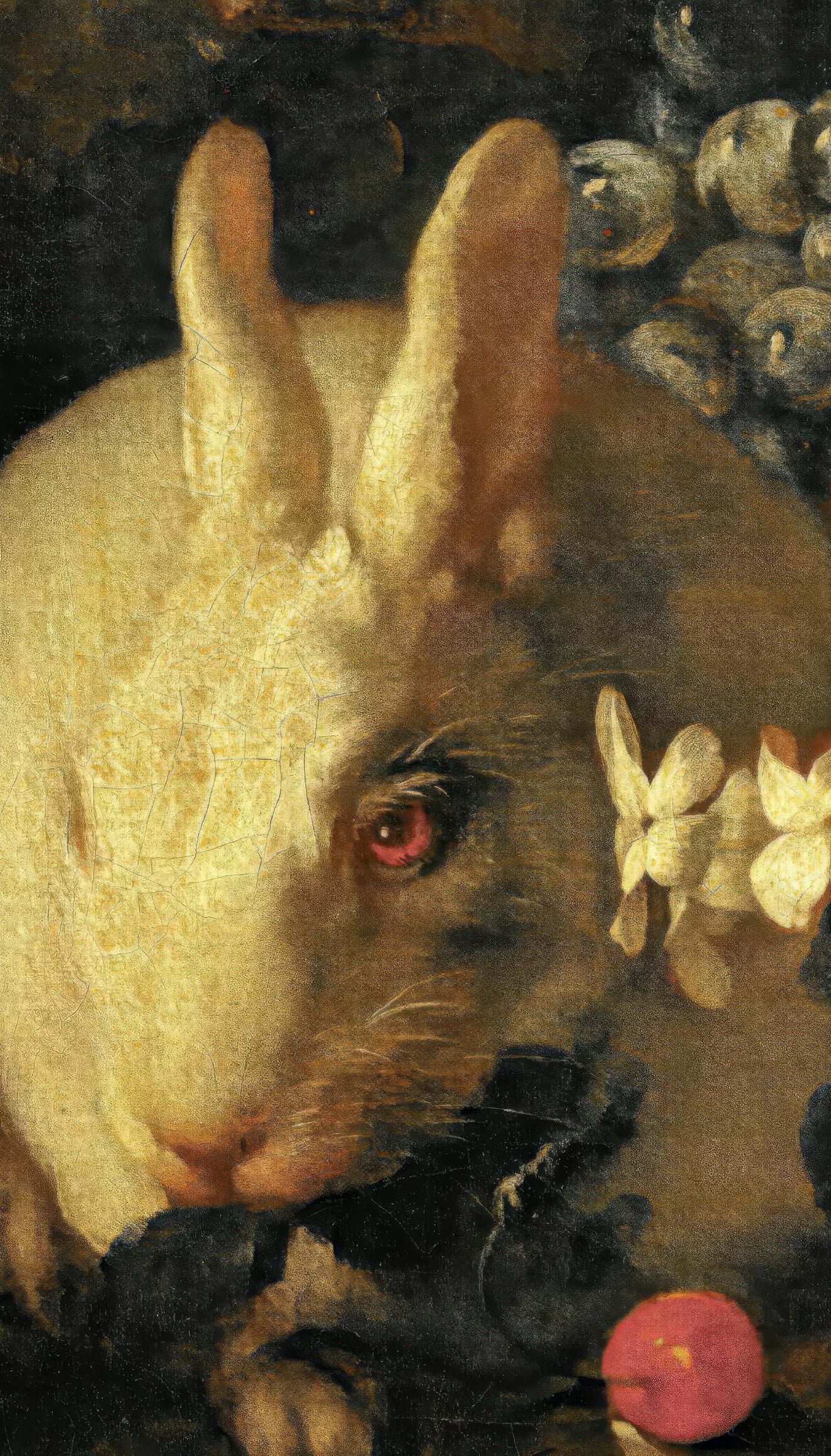Close-up of a rabbit with flowers and fruits in a dark setting