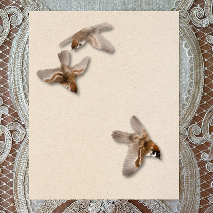 Sparrows Flying