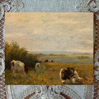Cows on the Hill