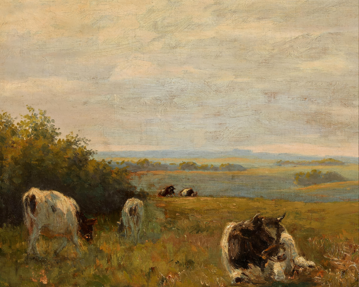 Cows on the Hill