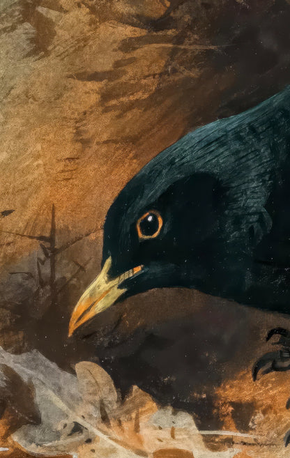 Blackbird