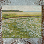 A Vast Summer Landscape