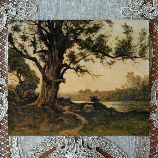 Old Oak