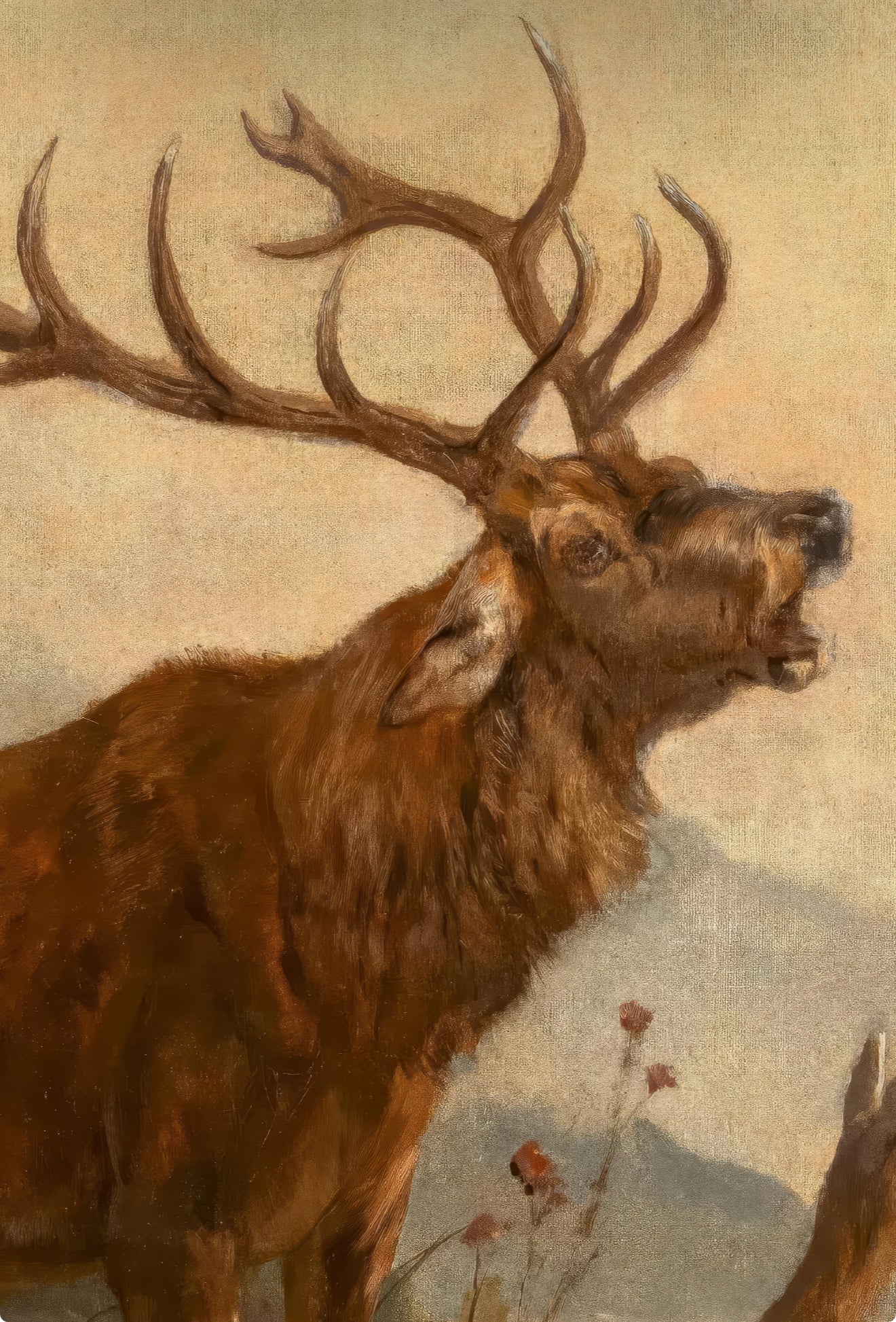 Stag on the Mountain