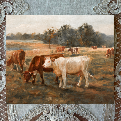 Cows Grazing