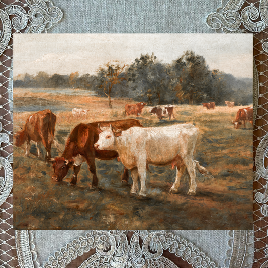 Cows Grazing