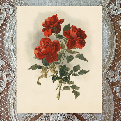 Three Red Roses