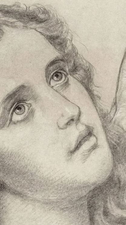 Young Angel Sketch