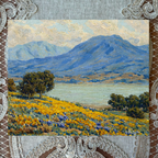 California Landscape