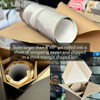 Reading in the Garden