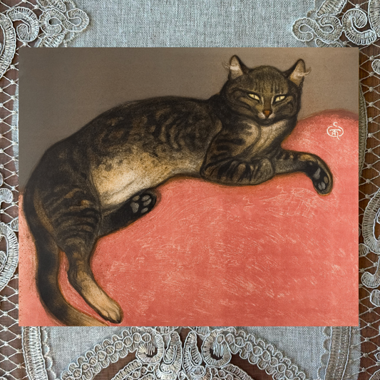 Cat on a Cushion