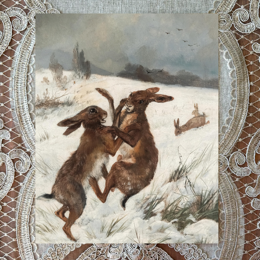 Bunnies Fighting