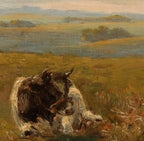 Cows on the Hill